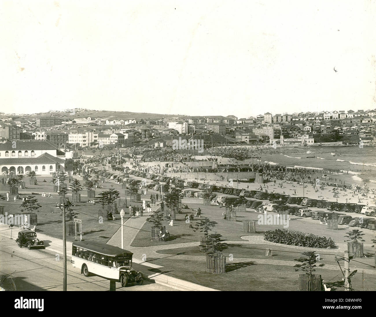 Vista del lato nord di Bondi Beach Foto Stock