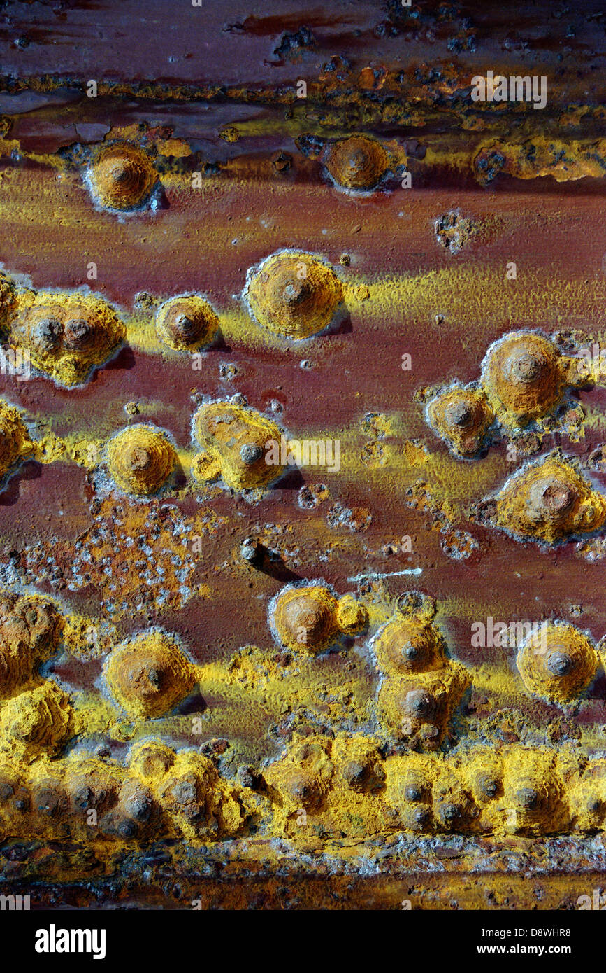 Ferro forgiato foglio, close-up Foto Stock