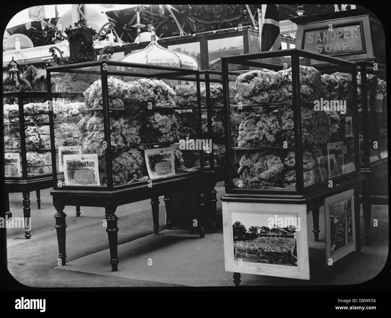 Lana del nuovo Galles del Sud, Australia, esposta alla Franco-British Exhibition di Londra. Questa mostra ha evidenziato il significato della lana australiana nel commercio globale e la sua importanza per l'industria agricola. Foto Stock