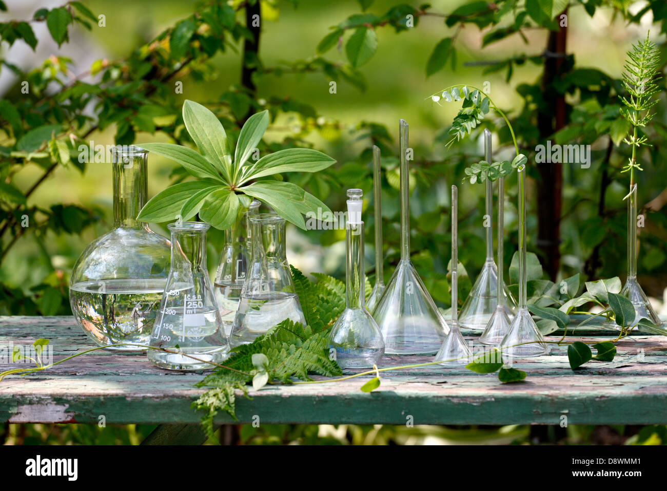 Vasi sul tavolo da giardino Foto Stock