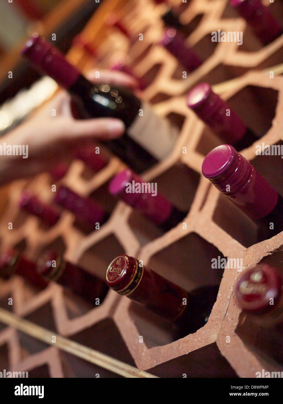 Portabottiglie di vino mattone fori esagonali sete bere mano cameriera  cameriere Foto stock - Alamy