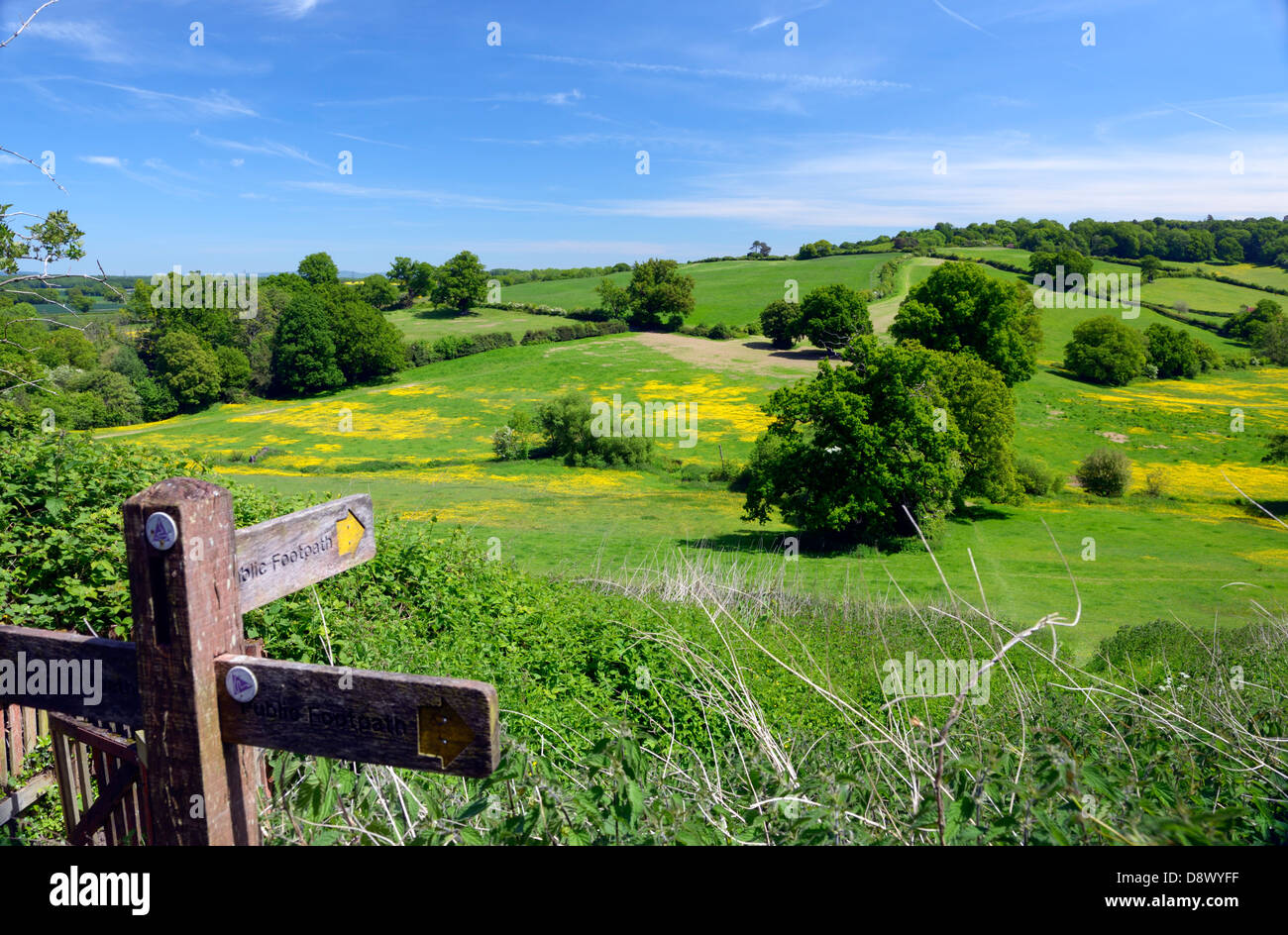 Campagna a est della città mercato di Petworth, West Sussex, Regno Unito Foto Stock