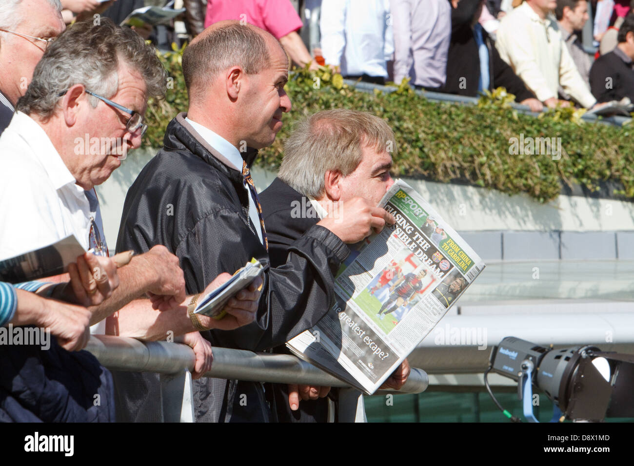 Studiando il racing post a Ascot Racecourse Foto Stock
