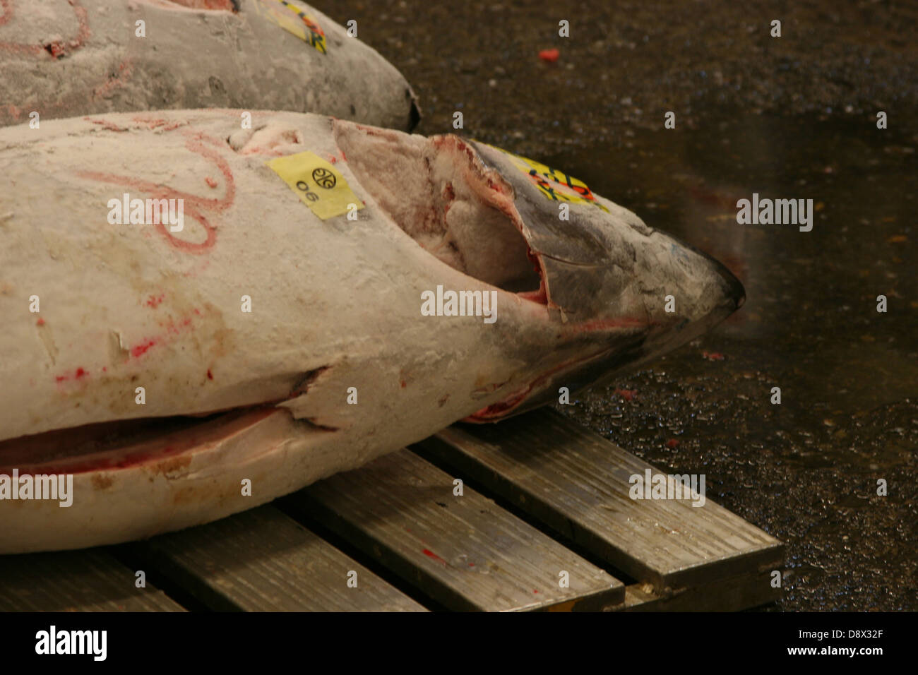 Tonno congelato per vendita a Tokyo il mercato del pesce di Tsukiji Foto Stock