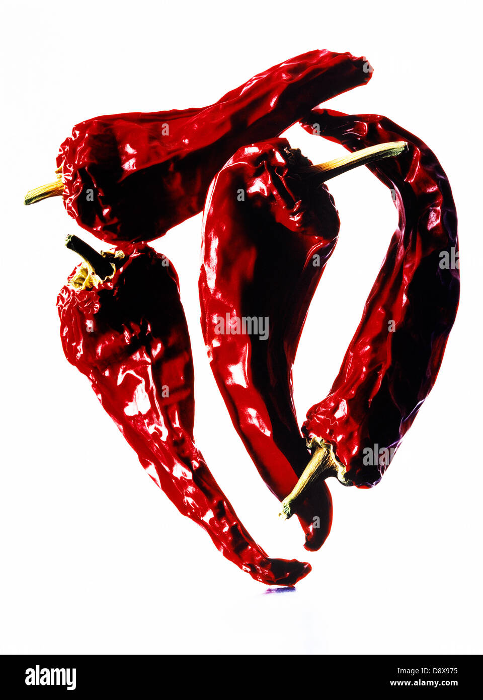 Peperoncino essiccato peperoni su uno sfondo bianco. Foto Stock