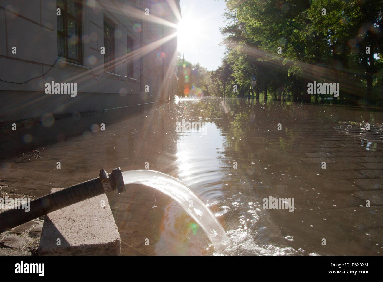 Hochwasser Saale Emil-Eichhorn-Strasse Halle Saale Sachsen-Anhalt Deutschland Sassonia-anhalt Germania Fluss deutsche Stadt città tedesca comune strada alta marea flood Allee Baumreihe Überschwemmung Flut acqua di inondazione inondazione acque alluvionali freshet allagamento acqua alta alta acqua acque di esondazione highwater alta acqua ondata Wasser alta filigrana hoher Pegelstand overflow di allagamento a diluvio glut spazio copia spazio negativo spazio neg Textfreiraum pompa acqua cantina cantine Hochwasser Saale Emil-Eichhorn-Strasse Halle Saale Sachsen-Anhalt Foto Stock