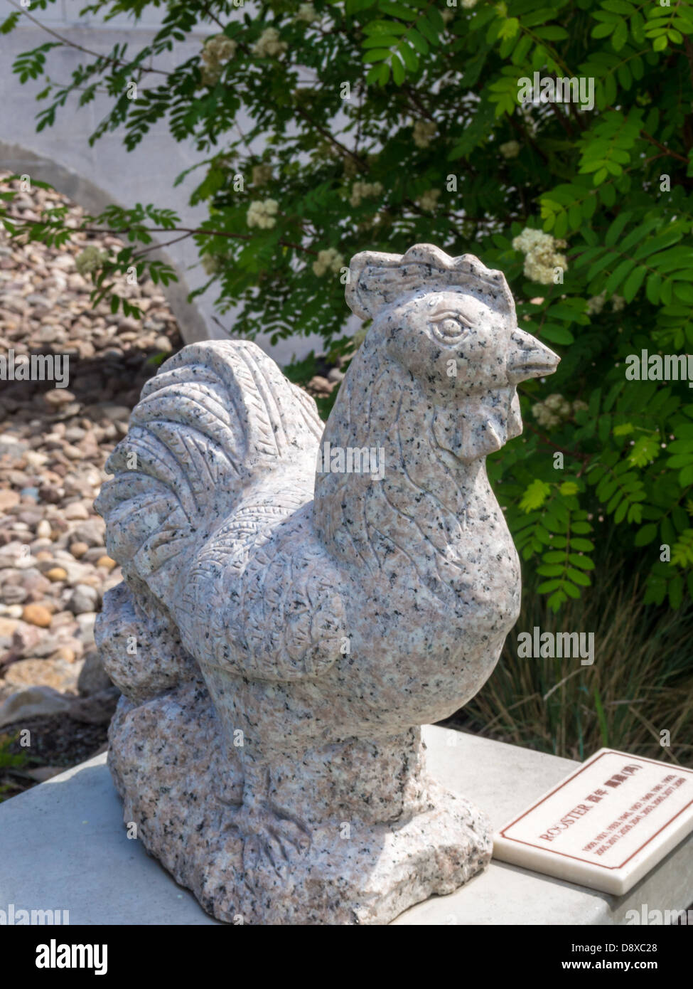Gallo di pietra statua in Edmonton giardino cinese Foto Stock
