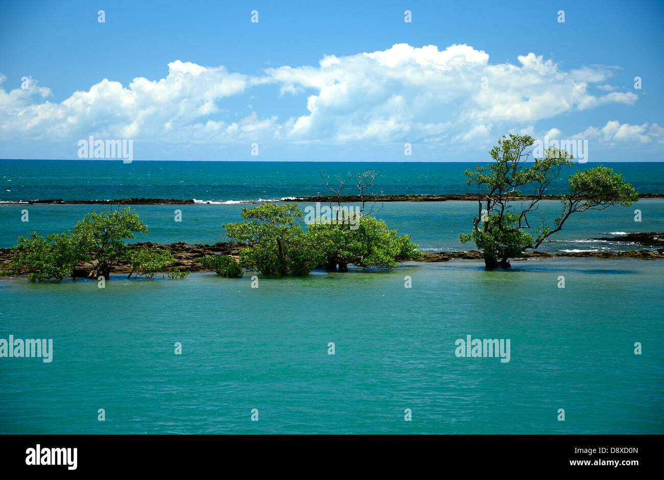 Affluente del fiume al ocean.Porto Seguro, Brasile Foto Stock