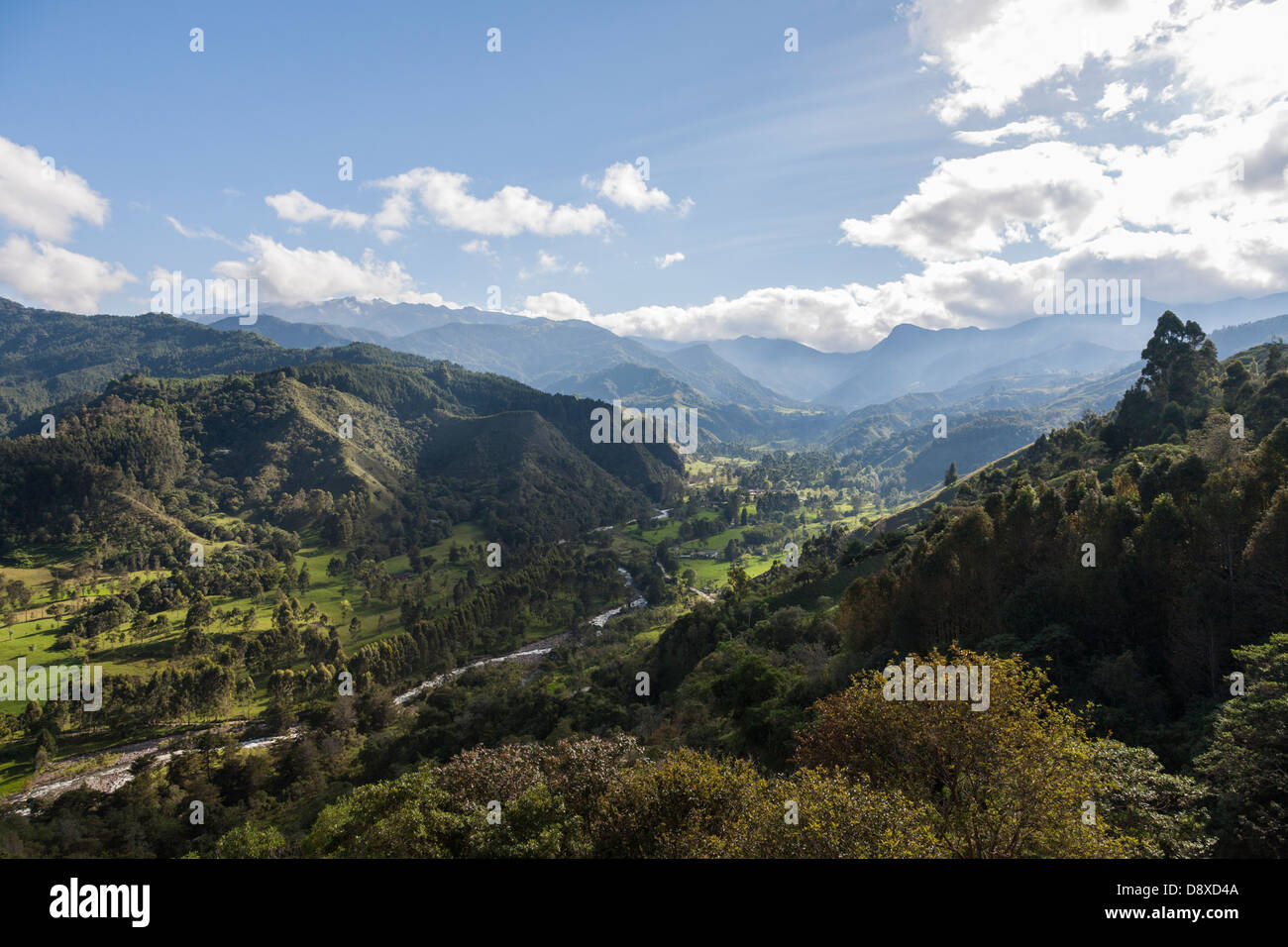 Cocora Valley, Acaime Riserva Naturale, il Salento, Colombia Foto Stock