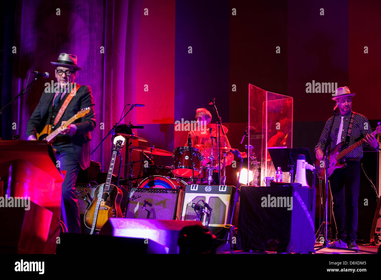 Londra, Regno Unito. 5 Giugno 2013. Elvis Costello al Royal Albert Hall di Londra, 5 giugno 2013 Credit: Lucia Hrda/Alamy Live News Foto Stock
