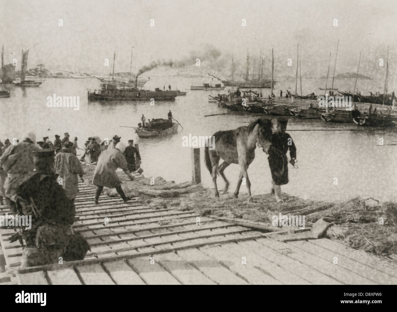 Sbarco pack pony a Chemulpo per anticipo su Seoul, durante il Russo di guerra giapponesi, 1904 Foto Stock