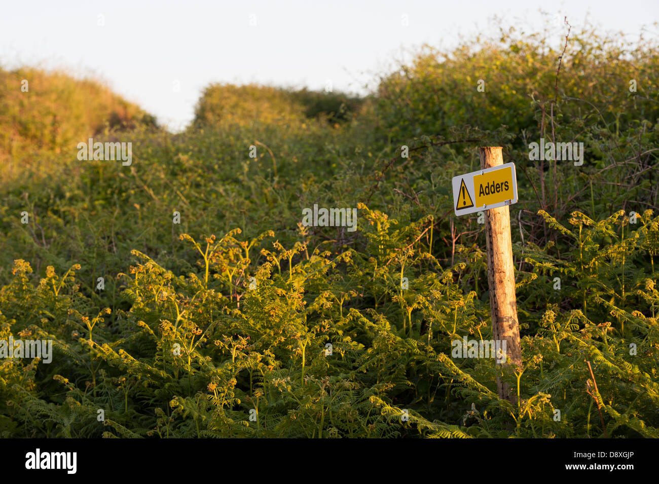 La conservazione del sommatore segno nelle dune di sabbia a Bantham beach, Devon, Inghilterra Foto Stock