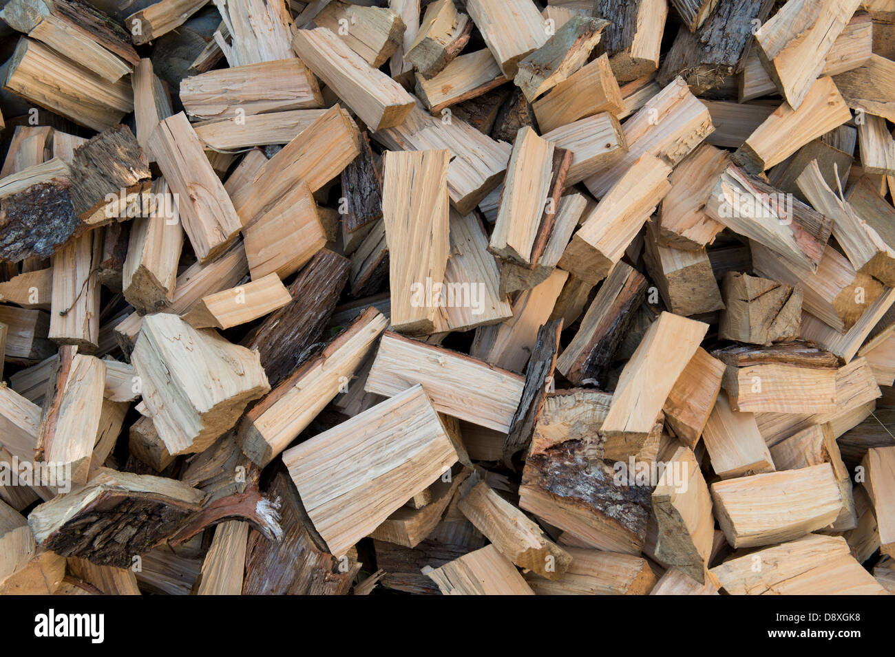 Tagliare legno di faggio log Foto Stock