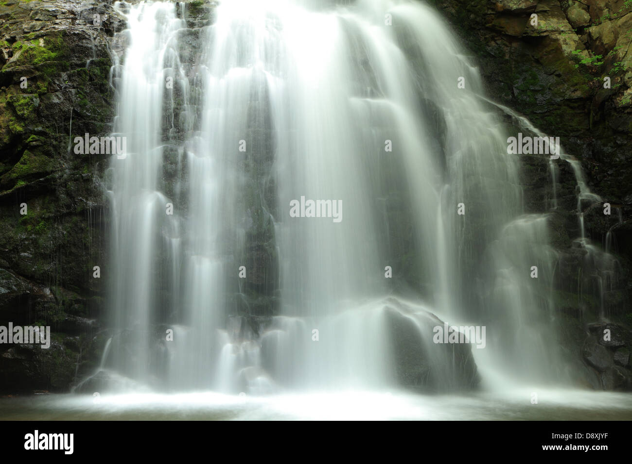 Primo piano di un waterfal, Nome è Asamaootaki, Gunma, Giappone Foto Stock