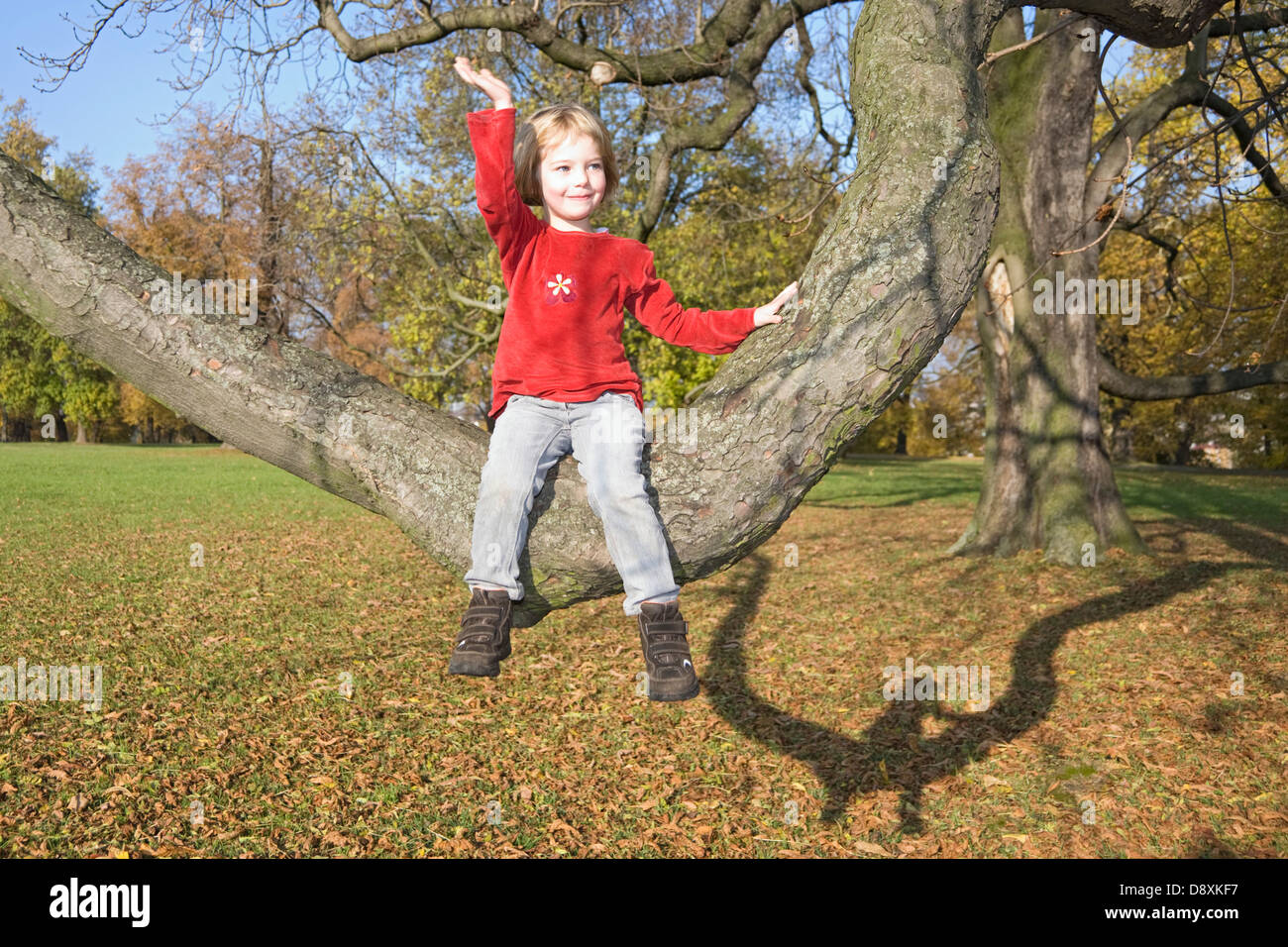 Cinque anno-vecchia ragazza seduta su un ramo su un albero Foto Stock