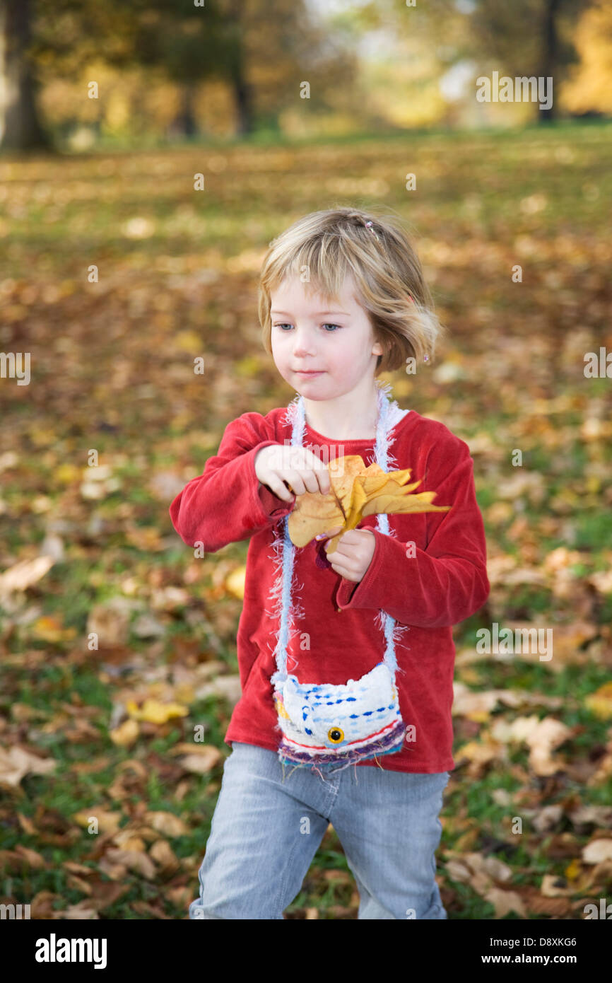 Cinque anno-vecchia ragazza a raccogliere le foglie in autunno Foto Stock