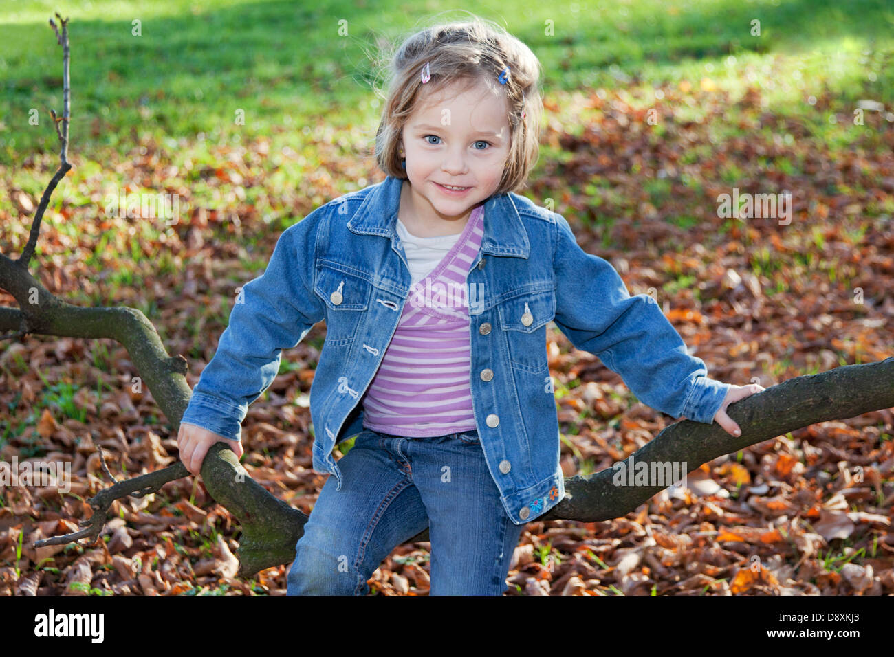 Quattro anni di ragazza seduta su di un ramo Foto Stock