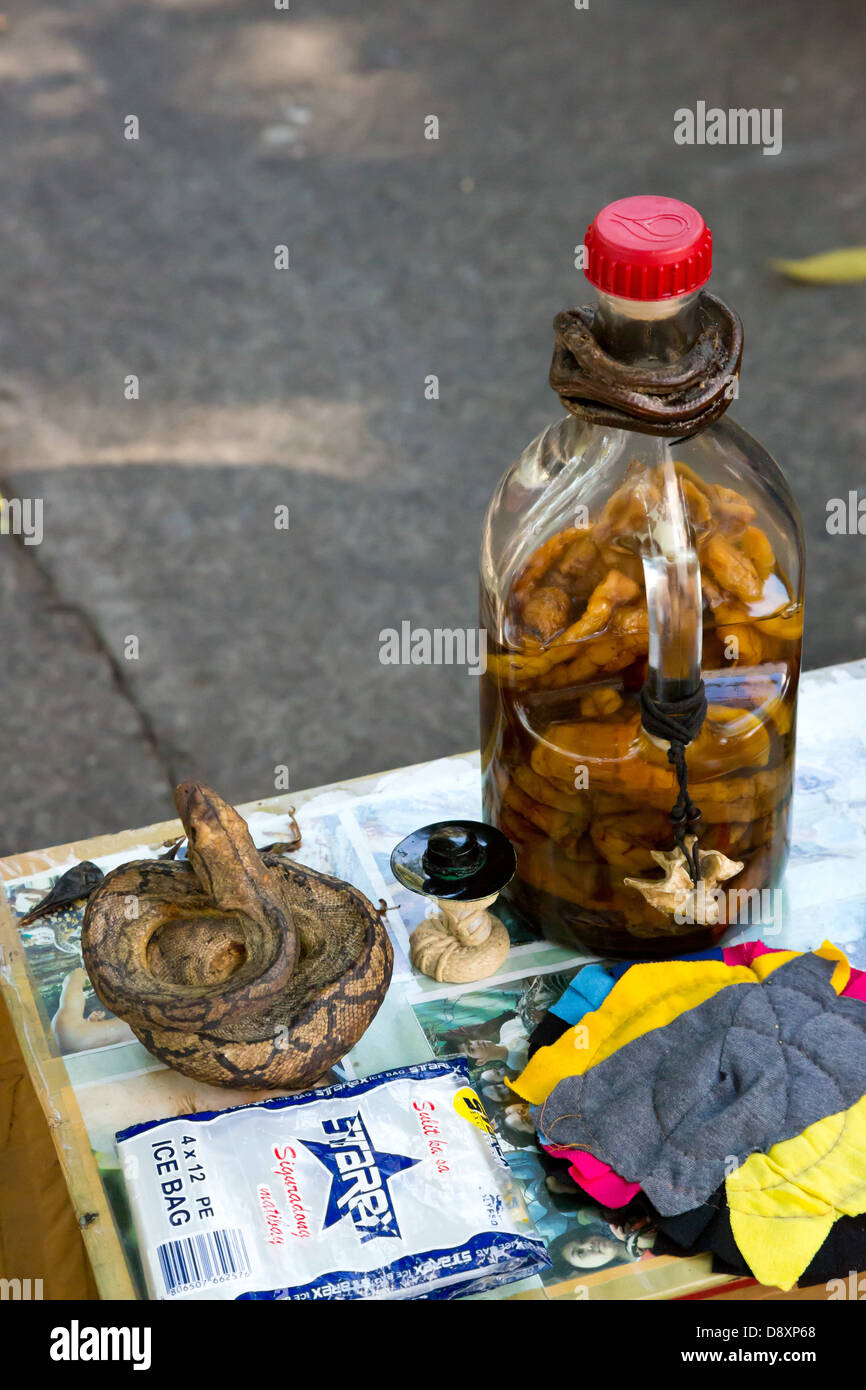 Snake in una bottiglia per le strade di Manila, Filippine Foto Stock