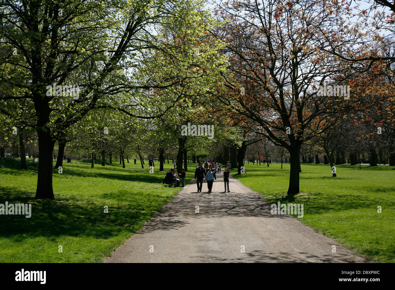 Per gli amanti della passeggiata in Hyde Park, London, Regno Unito Foto Stock