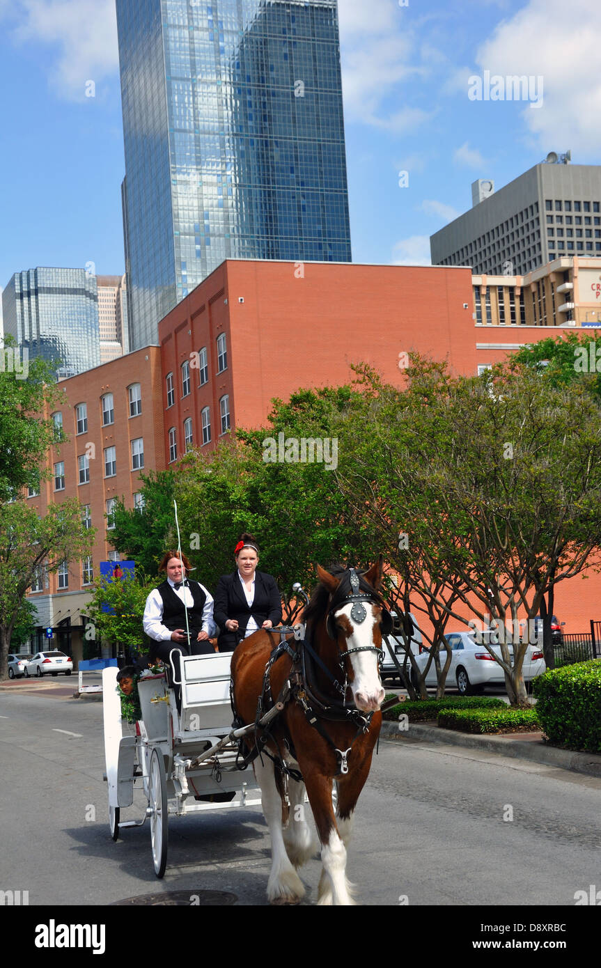 Cavallo di cavalcare carrello per i turisti a Dallas, Texas, Stati Uniti d'America Foto Stock