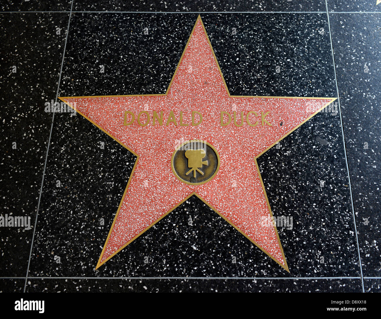 Terrazzo star per artista Donald Duck, categoria Film, Drumming di fama, Hollywood Boulevard, Hollywood, Los Angeles, California, Foto Stock