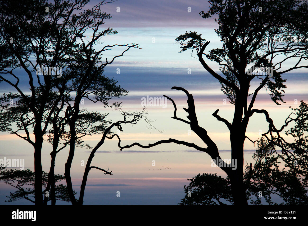 Stagliano tramonto Foto Stock