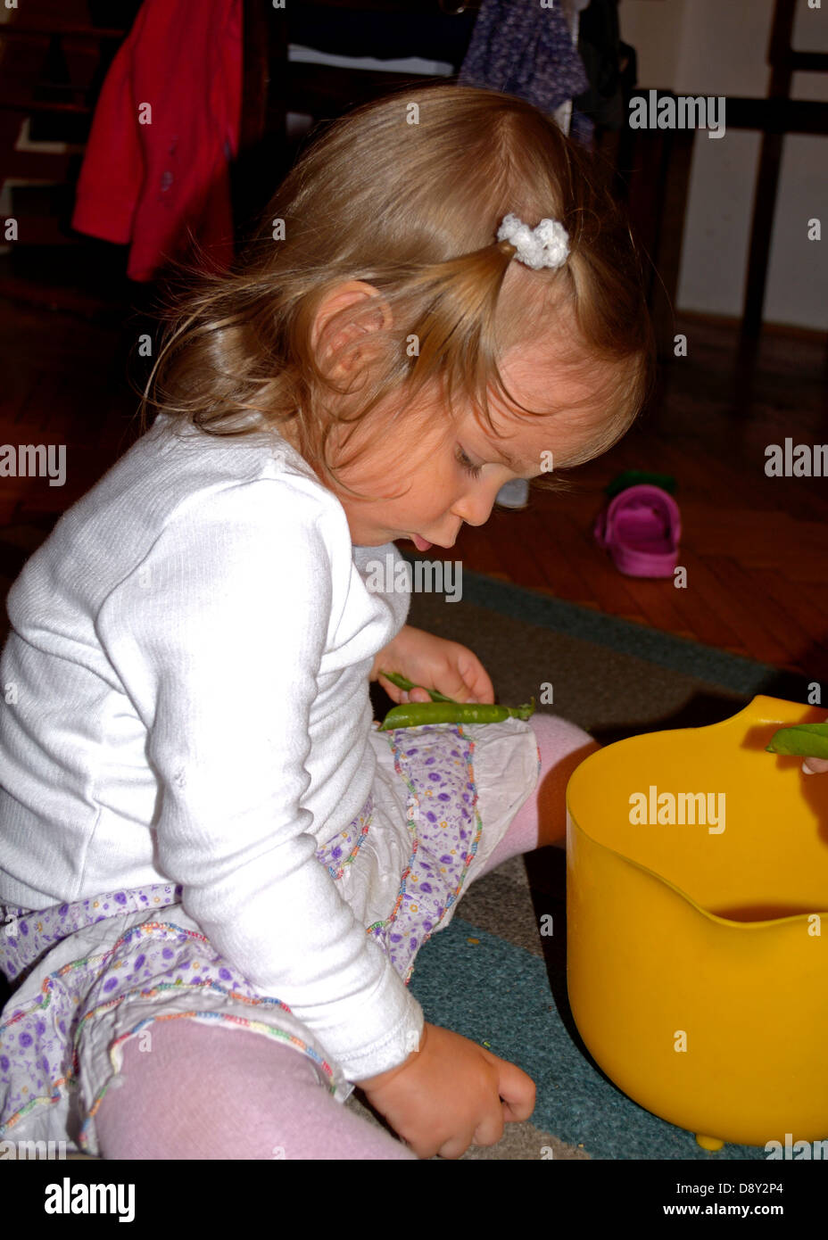 2 anni di bambina di piselli da sgranare a casa Foto Stock