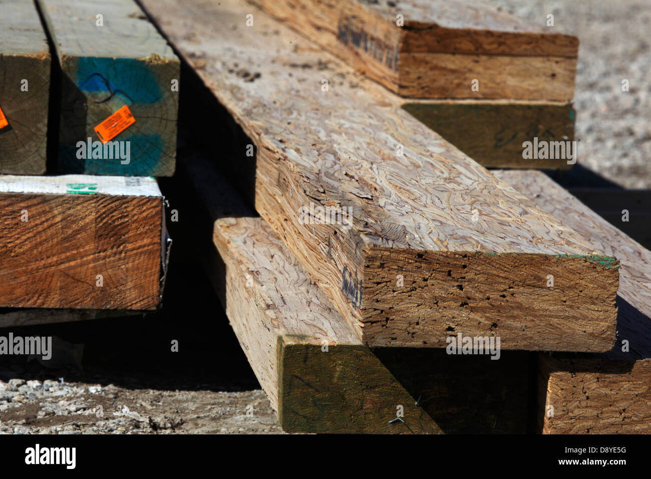 Composito travi di legno accanto al legno naturale posti. Foto Stock