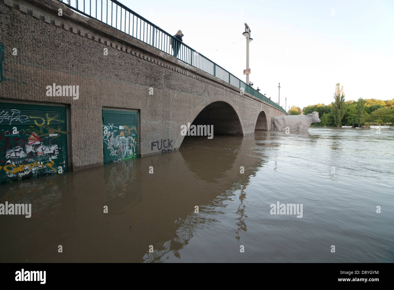 Ponte Giebichenstein durante l'alluvione del fiume Saale a Halle; Halle (Saale), Germania, 5 giugno 2013 Foto Stock