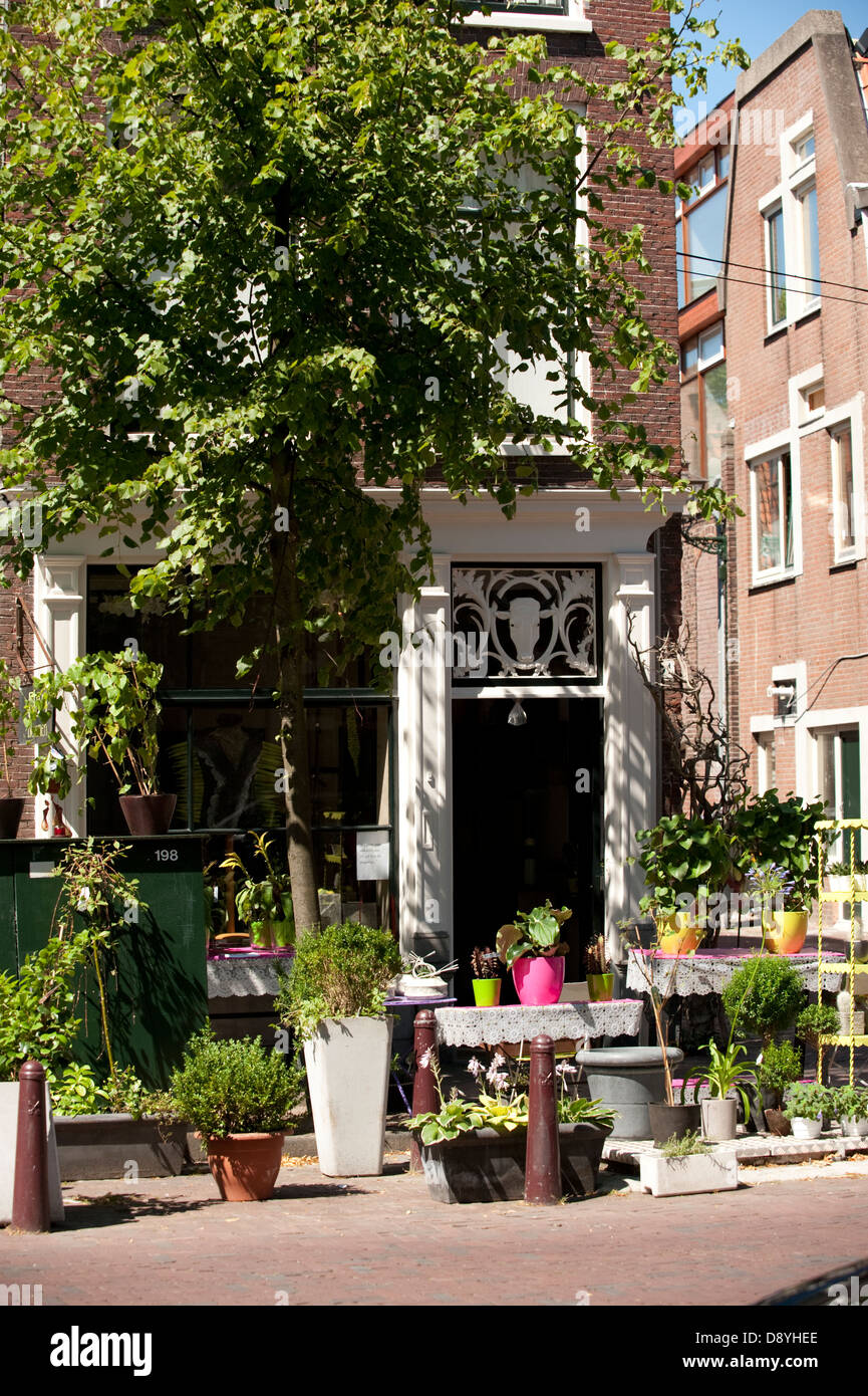 Fiori vasi per piante House Garden Leiden Holland Olanda Europa Foto Stock