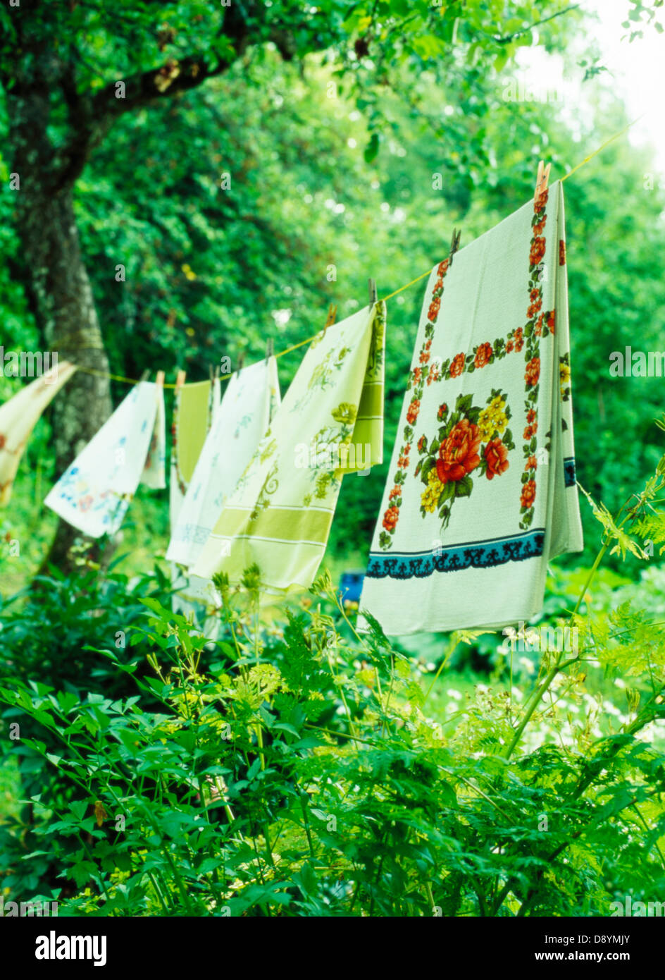 Linea di lavaggio con asciugamani Foto Stock