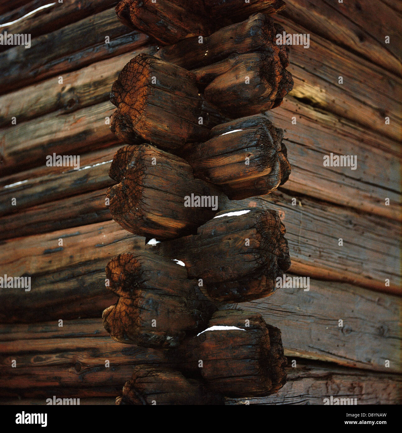 Timpano di un log house. Foto Stock