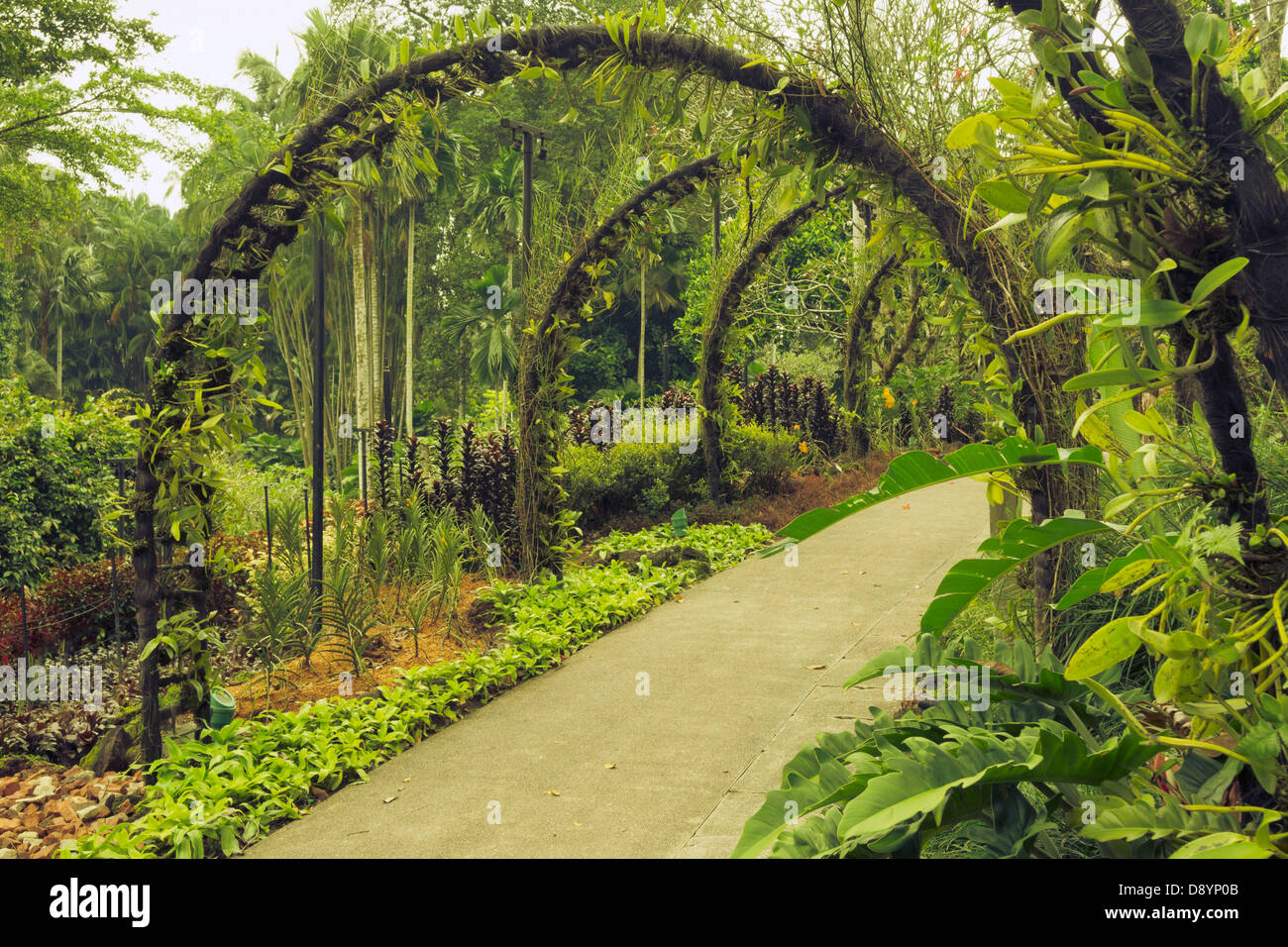 Sentiero panoramico sotto gli archi artificiali con piantagioni di fiori di orchidea in famosi i Giardini Botanici di Singapore. Foto Stock