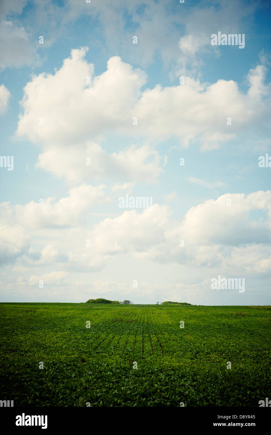 Nubi su terreni coltivati Foto Stock