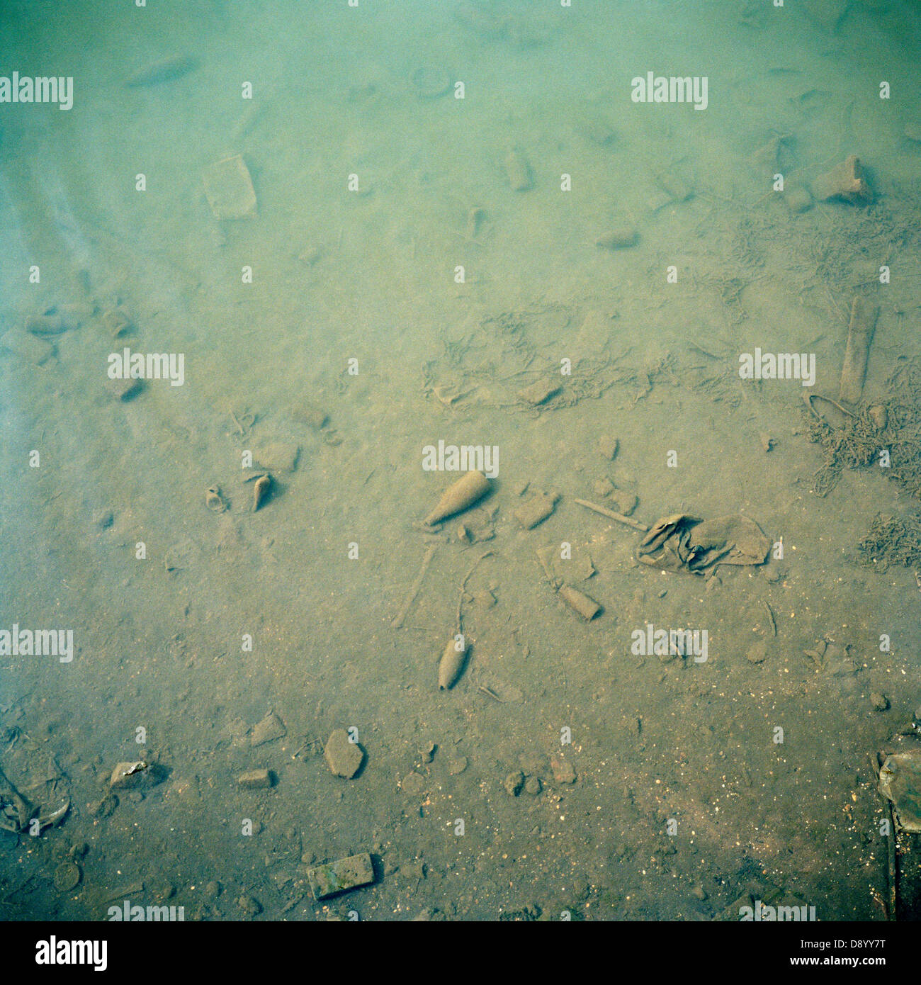 Per lettiera sul fondo di un lago, Asbury Park, New Jersey, USA. Foto Stock