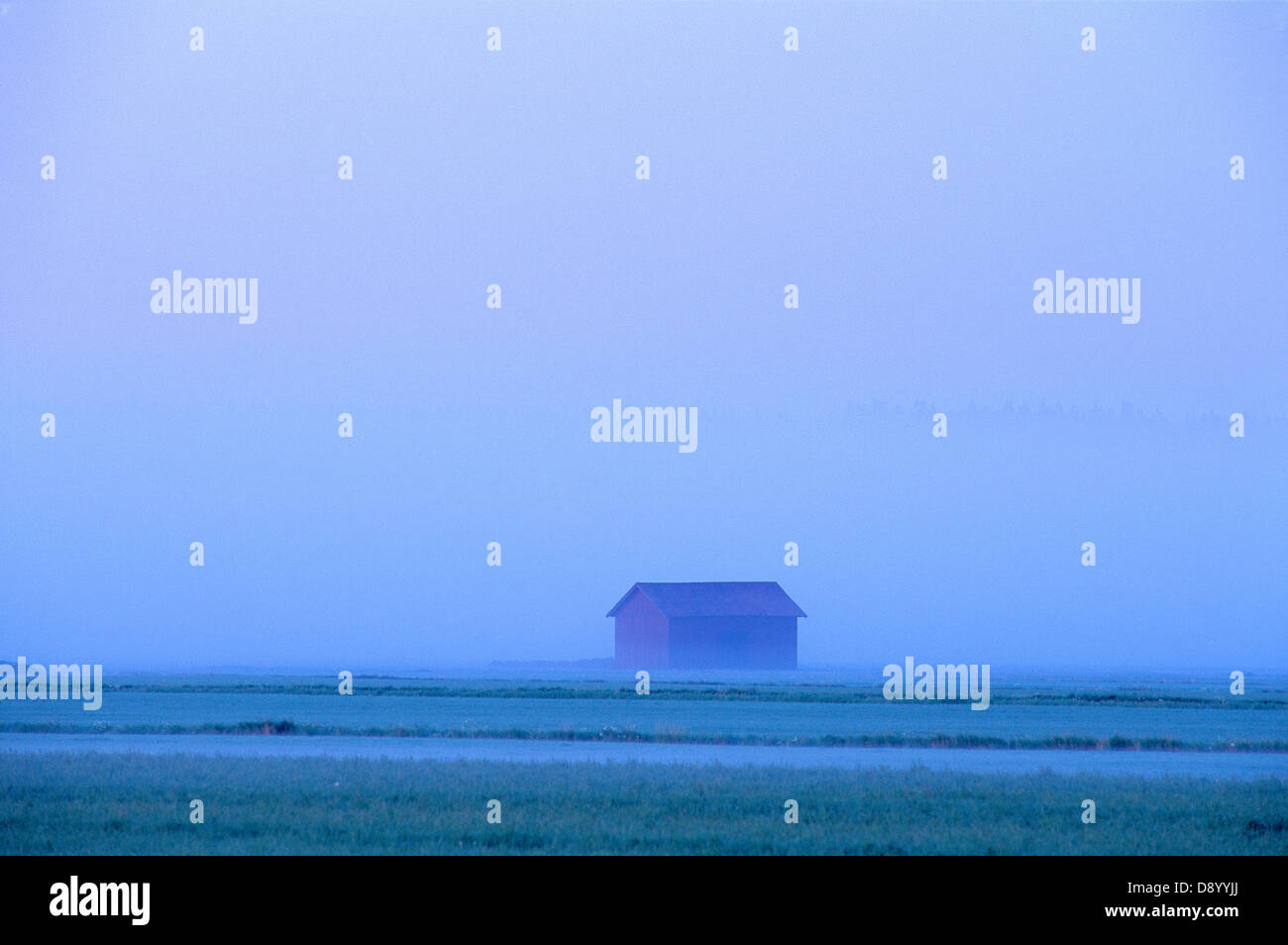 Un fienile su un campo coperto di nebbia. Foto Stock