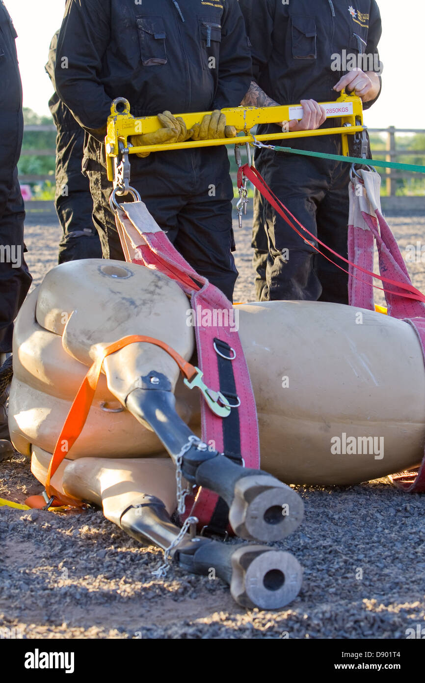 Humberside fuoco e il servizio di soccorso durante un esercizio per il soccorso di un cavallo da un rimorchio Foto Stock