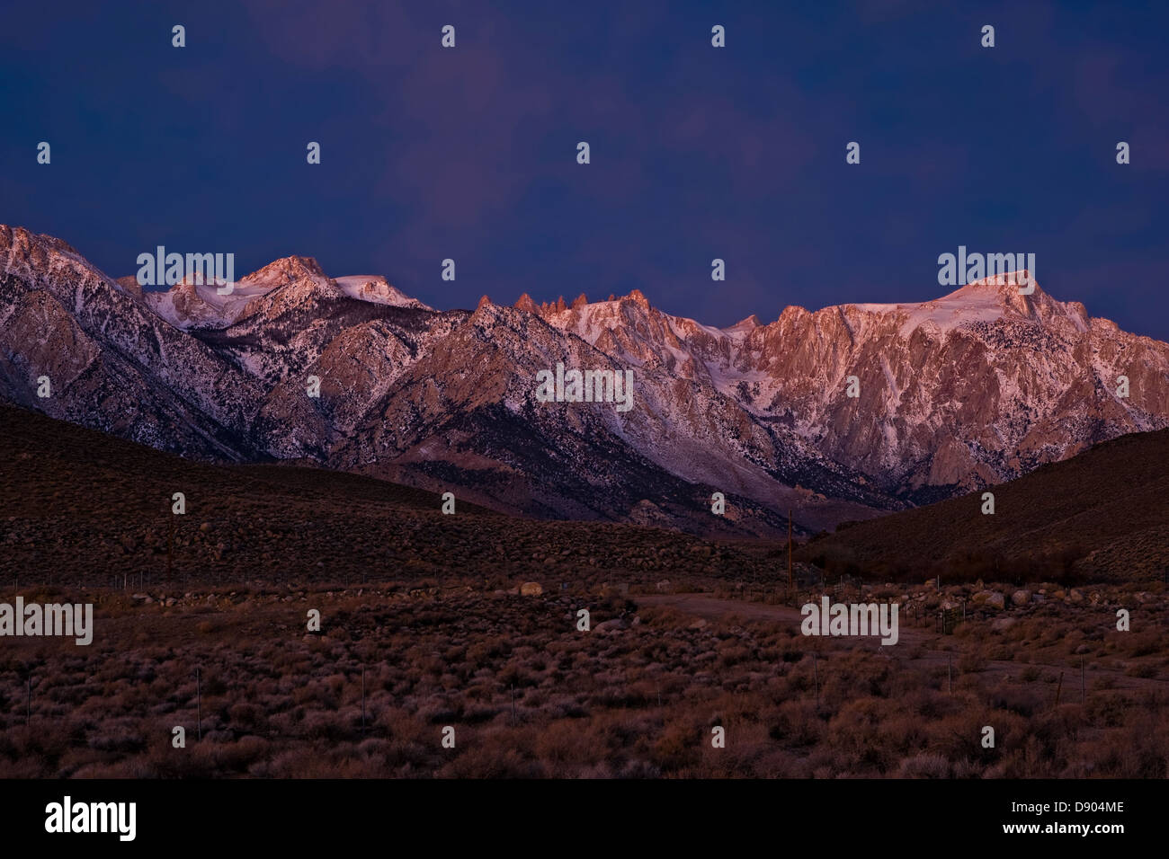 Pre-alba luce sull'alto deserto e Sierra orientale Foto Stock