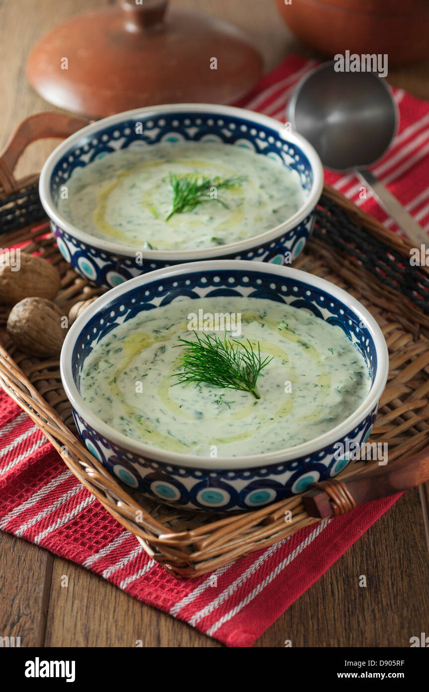 Tarator.cetriolo freddo e la zuppa di yogurt. La Bulgaria cibo Foto Stock