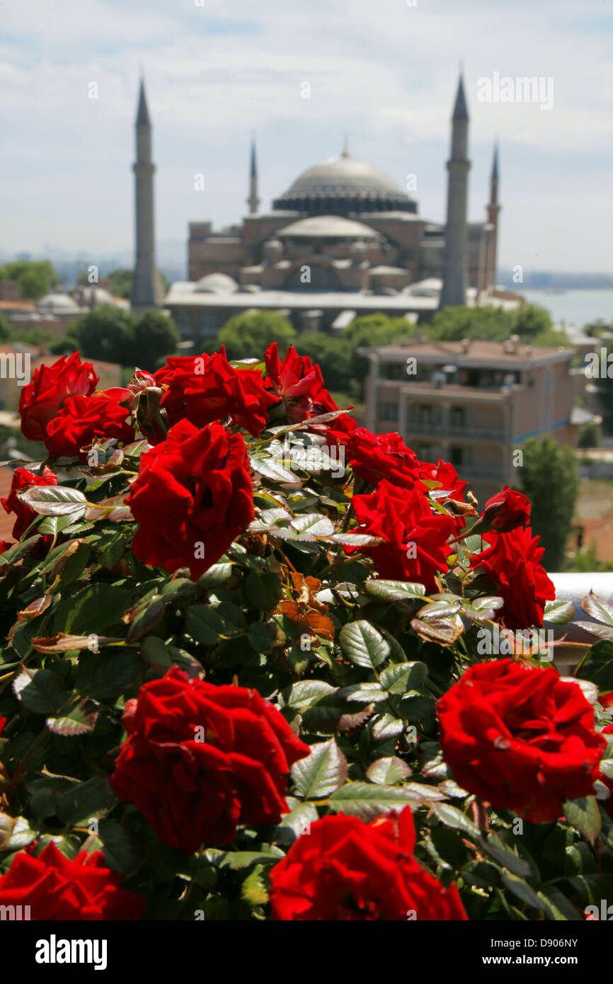 Rose rosse e Hagia Sophia MOSQUE Aya Sofya Istanbul Turchia 23 Maggio 2012 Foto Stock
