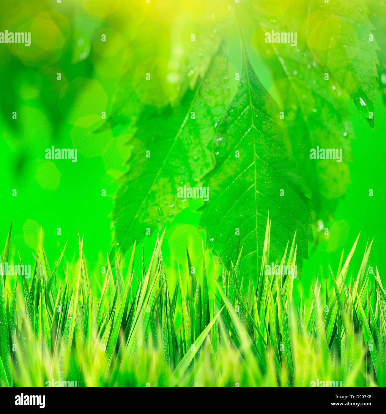 La splendida natura. Composizione quadrata. Foto Stock