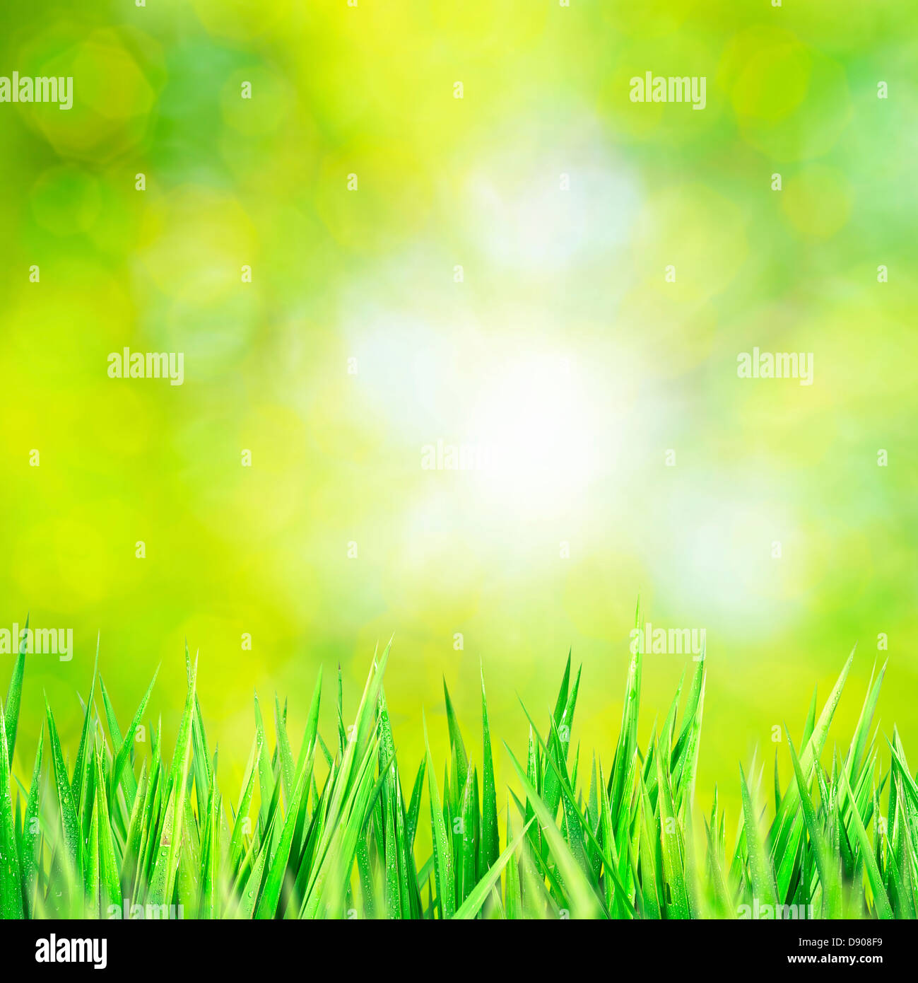 Composizione della natura Foto Stock
