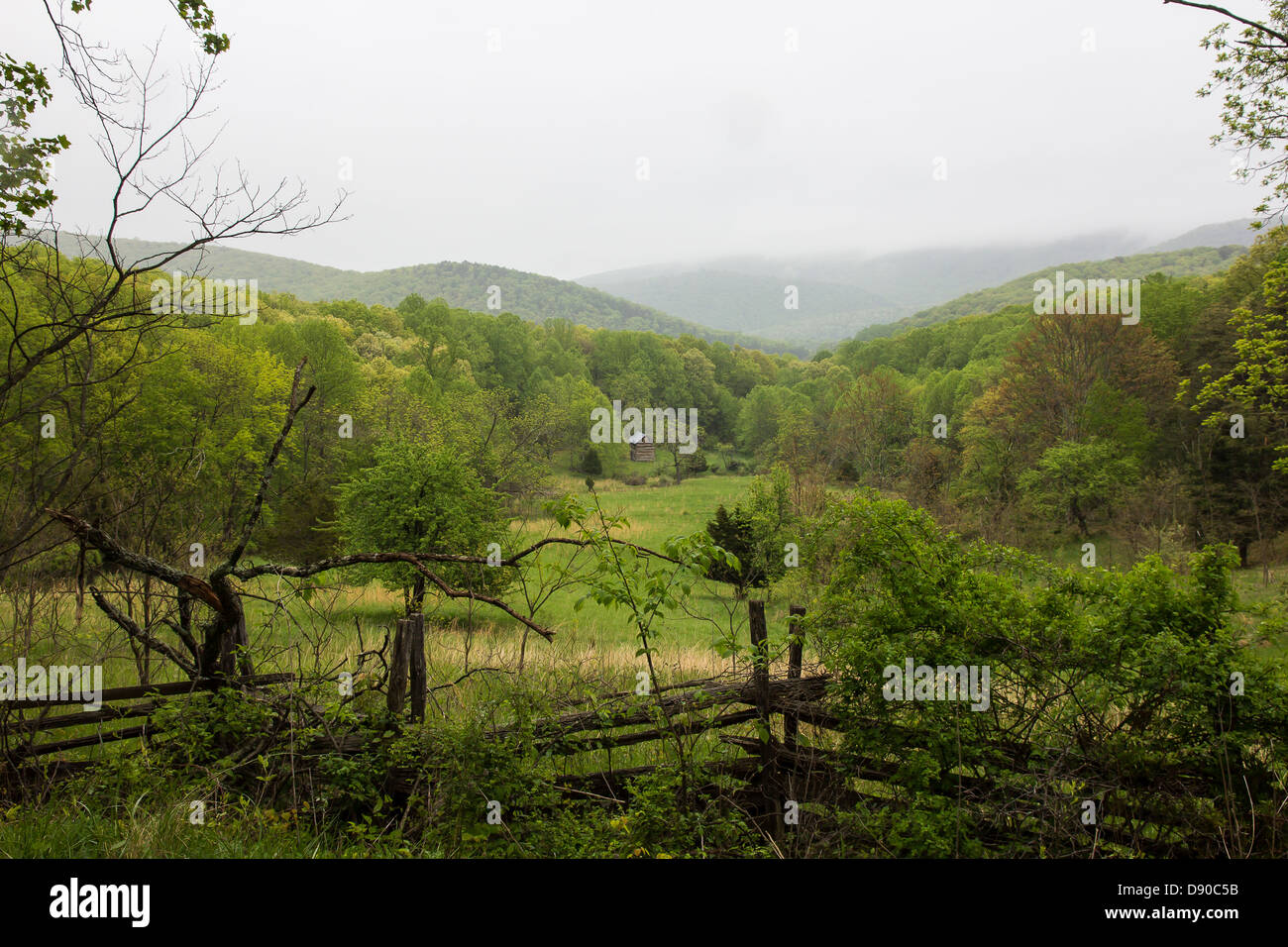 Un paesaggio panoramico presi in George Washington National Forest in West Virginia. Foto Stock