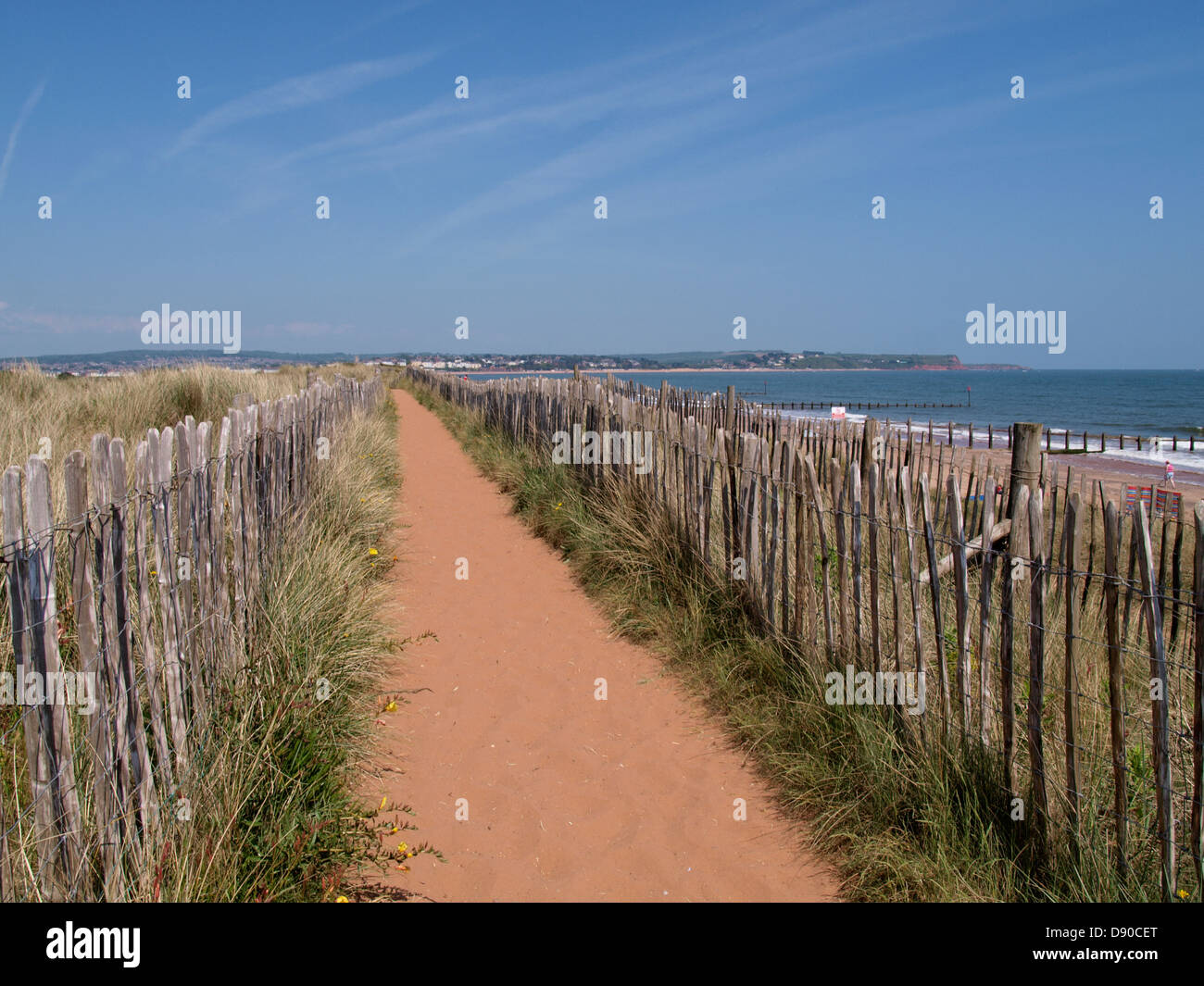 Sentiero attraverso le dune di sabbia, Dawlish Warren, Devon, Regno Unito 2013 Foto Stock