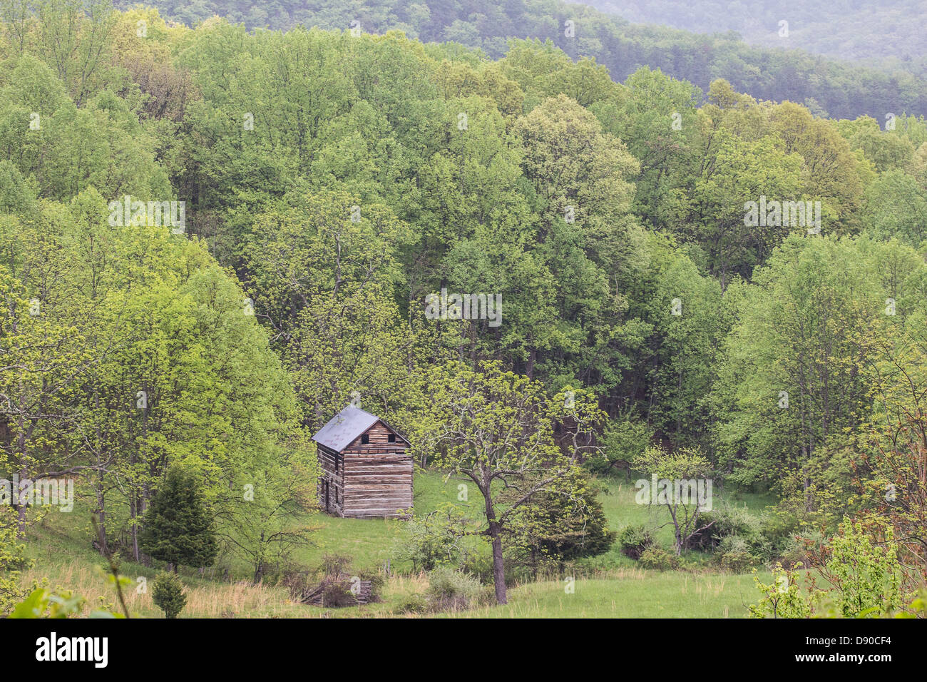 Un solitario cabina siede nel foro di fumo regione del West Virginia. Foto Stock