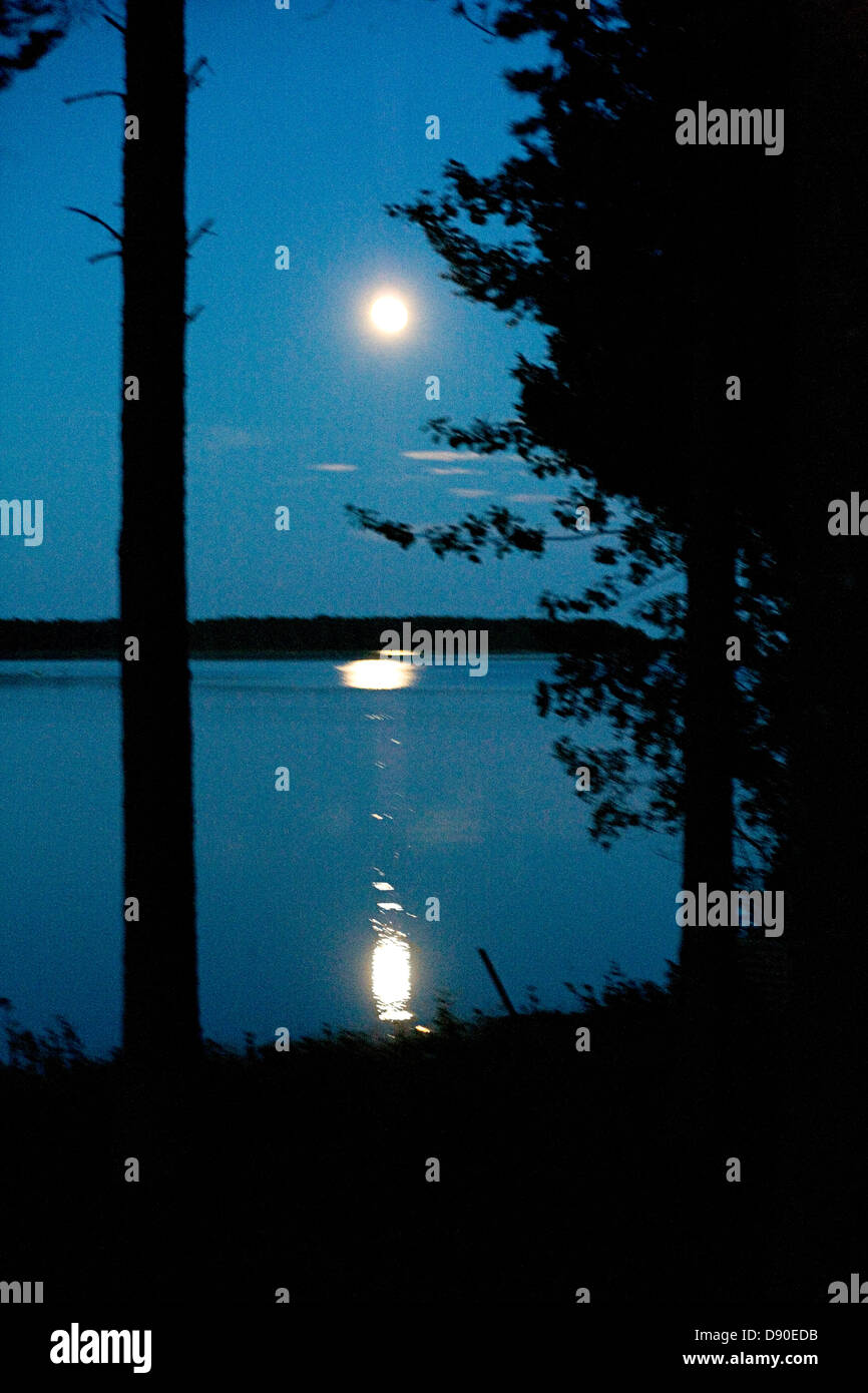 Moonlight riflettendo sull acqua, Lulea (Svezia). Foto Stock