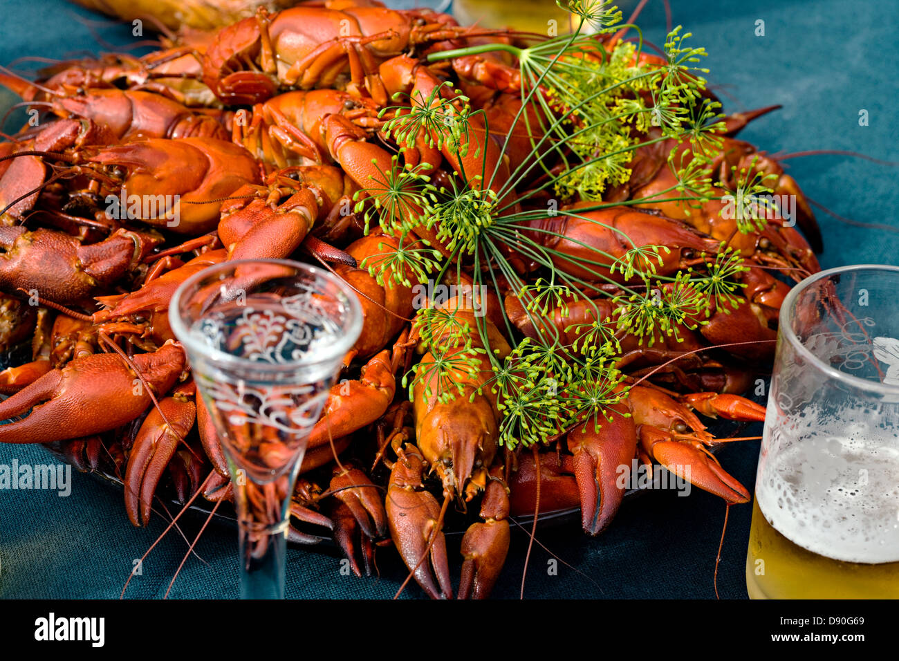 Gamberi di fiume sul tavolo Foto Stock
