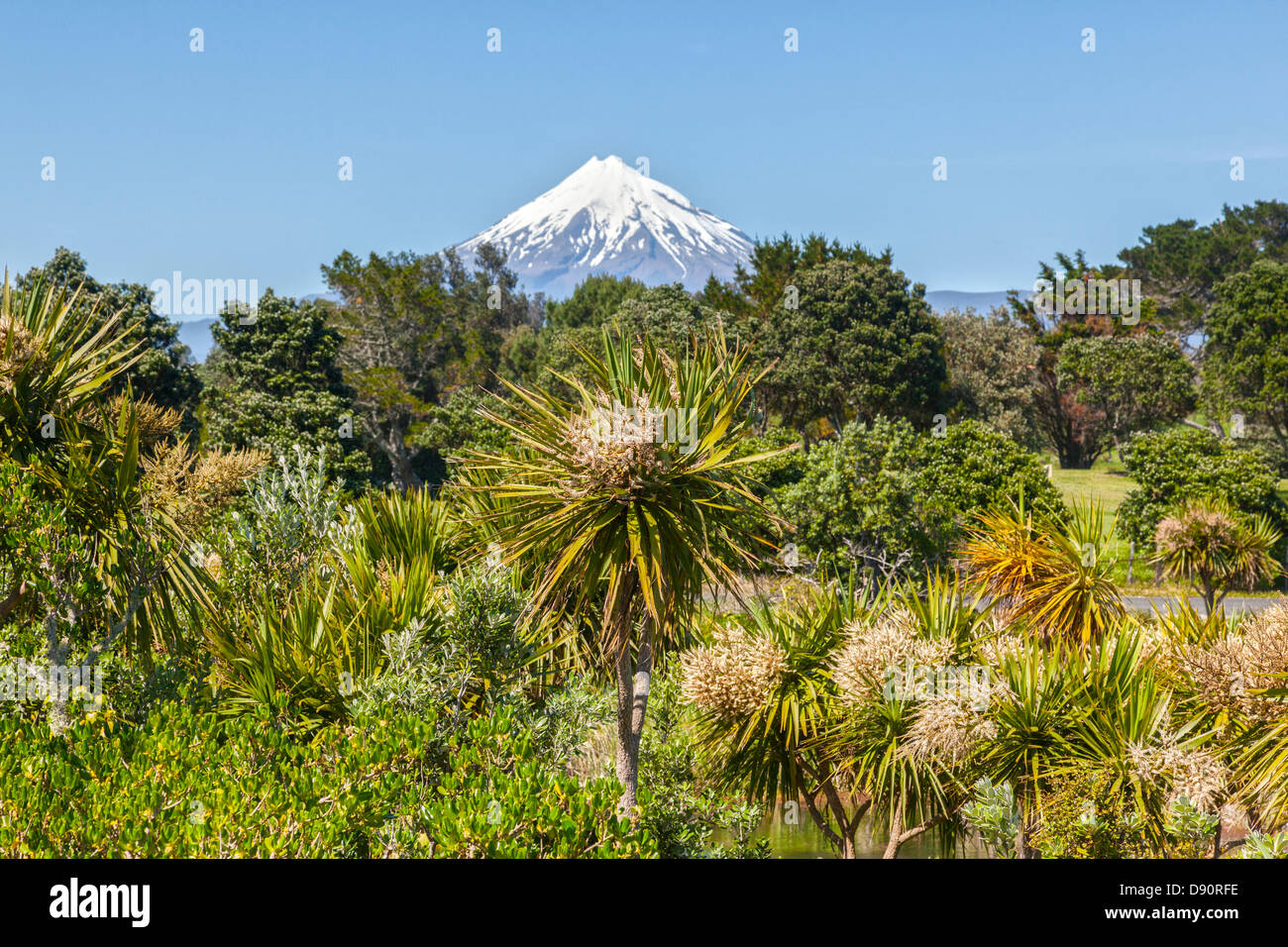 Nuova Zelanda la macchia nativa vicino al lago Rotomanu e Mount Taranaki in distanza. Foto Stock