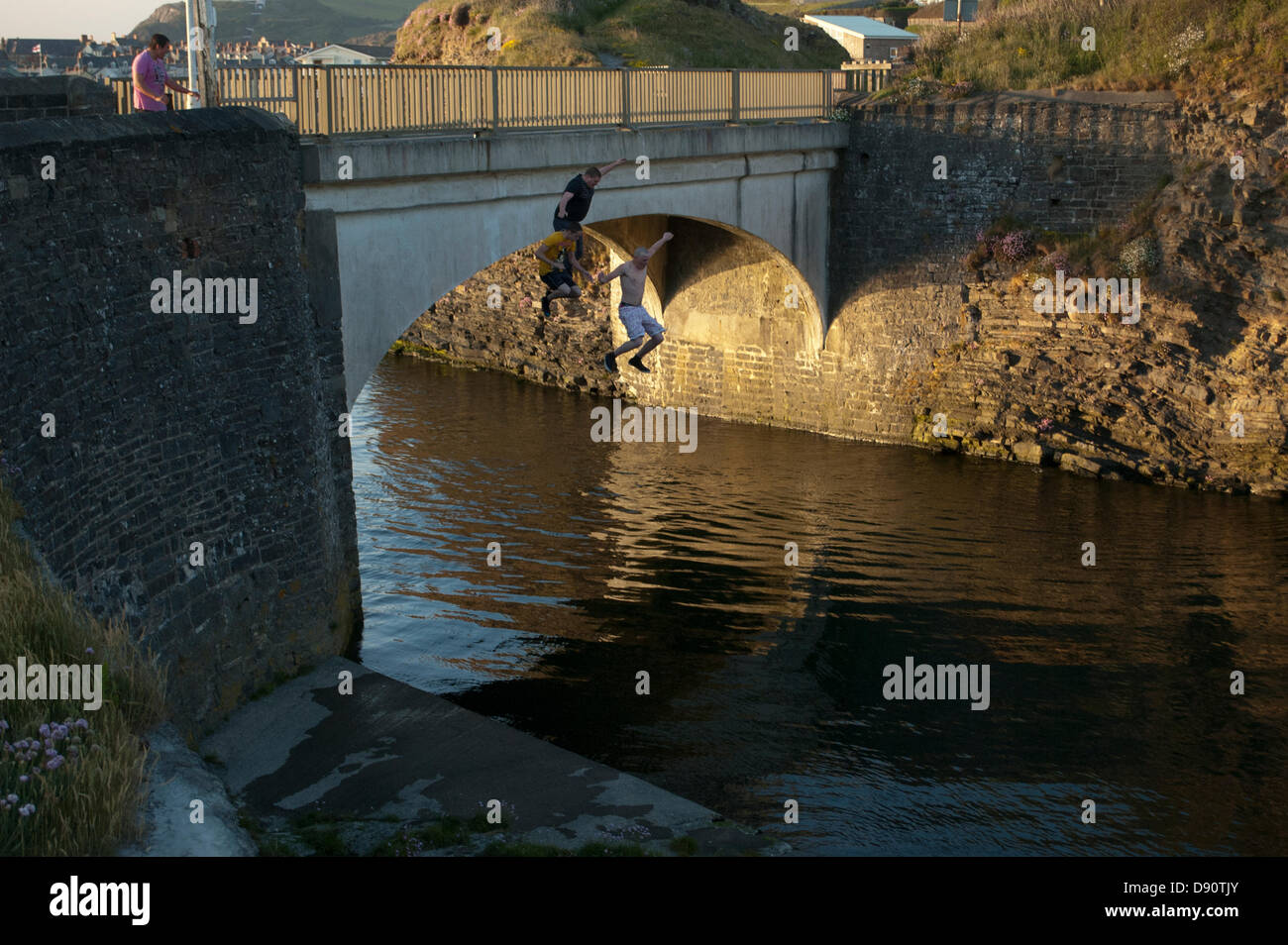 Lads saltando dalla penna Yr Angor / Tan Y Bwlch ponte nel fiume Ystwyth al punto si incontra Aberystwyth Harbour. Foto Stock