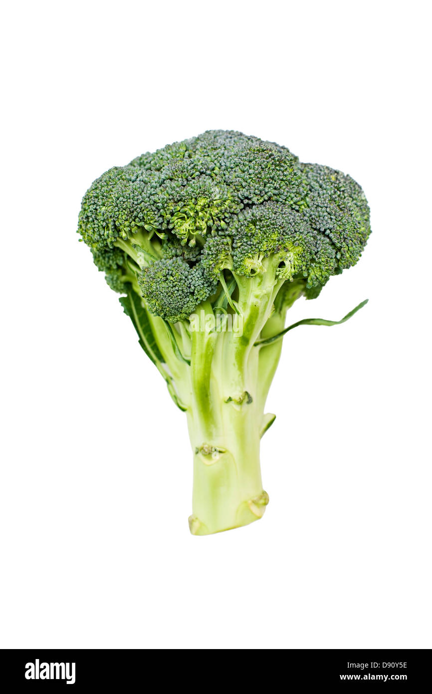 Studio shot di broccoli Foto Stock